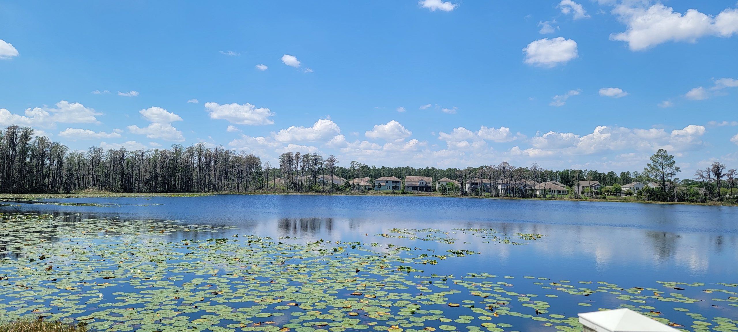 Central Florida lakefront homes for owners selling from out of state